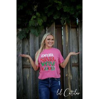 Dear Santa Define Good - Comfort Colors Christmas Tee